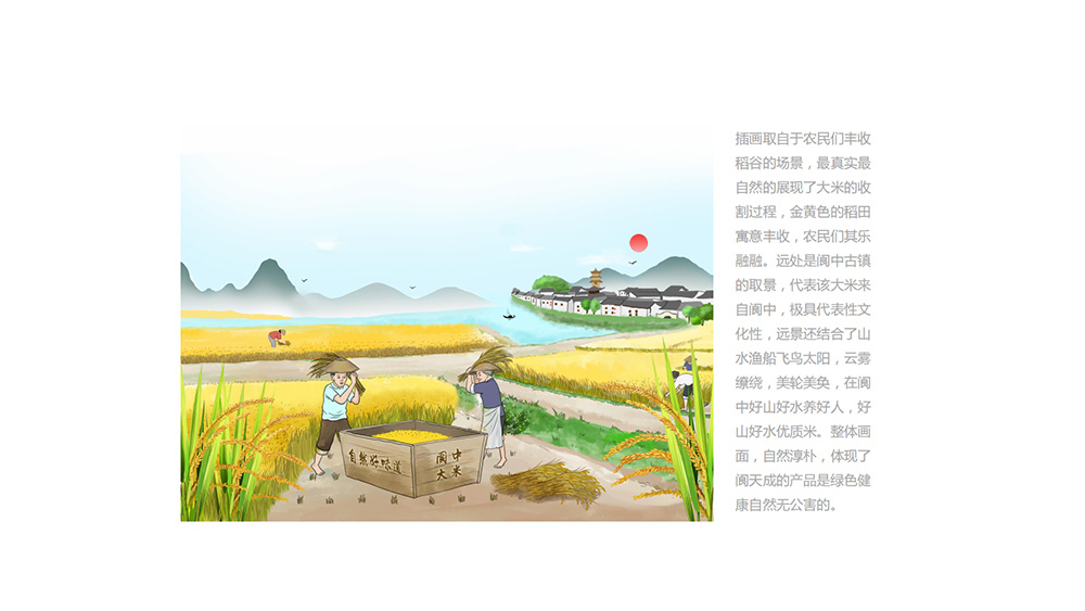 阆天成大米包装设计